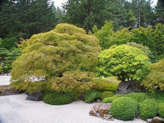 Portland Japanese Garden