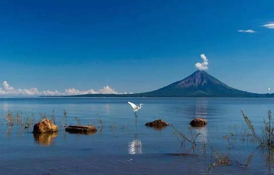 Amazing NicAdventures