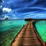 Sultan Murat Dürümcüsü