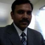 Firangi Zaayka